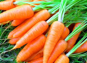 Как сеять морковь