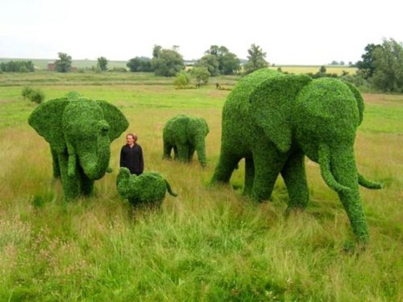 Скульптуры слонов из самшита