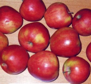 Анисовые яблоки