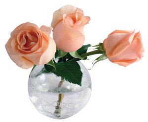Красивые розы  в вазе