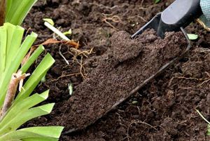 Как обрабатывать почву