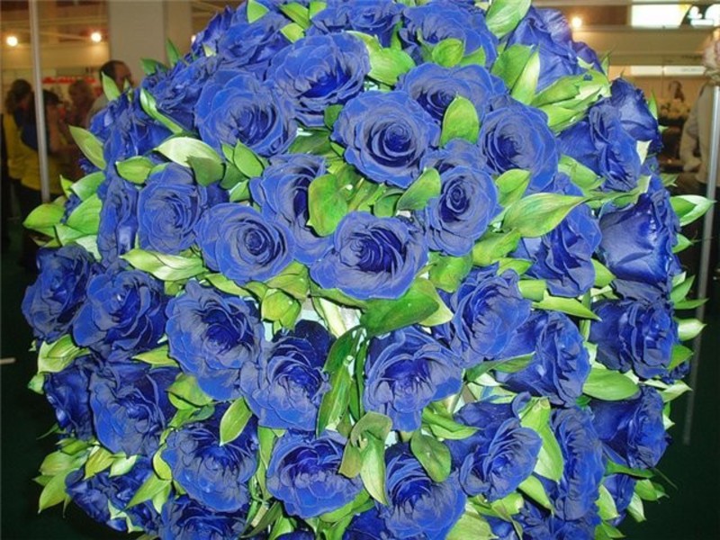 Красиво оформлен букет из синих роз