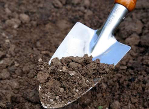 Подготовка почвы для рассады