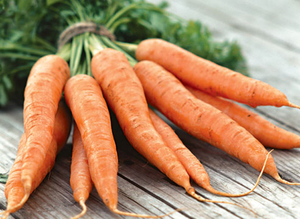 Как вырастить морковь ?