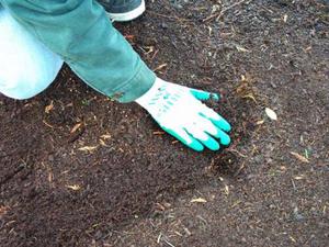Описание способа подготовки почвы