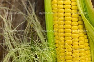 Как ухаживать за кукурузой