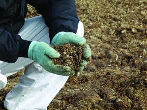 Органическое удобрения для почвы огурцов