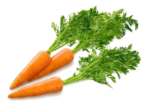 Когда и как сеять морковь