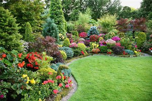 Названия и разновидности садовых кустарников