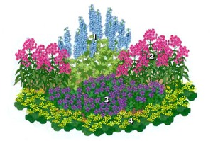 Схема высадки растений в простом цветнике